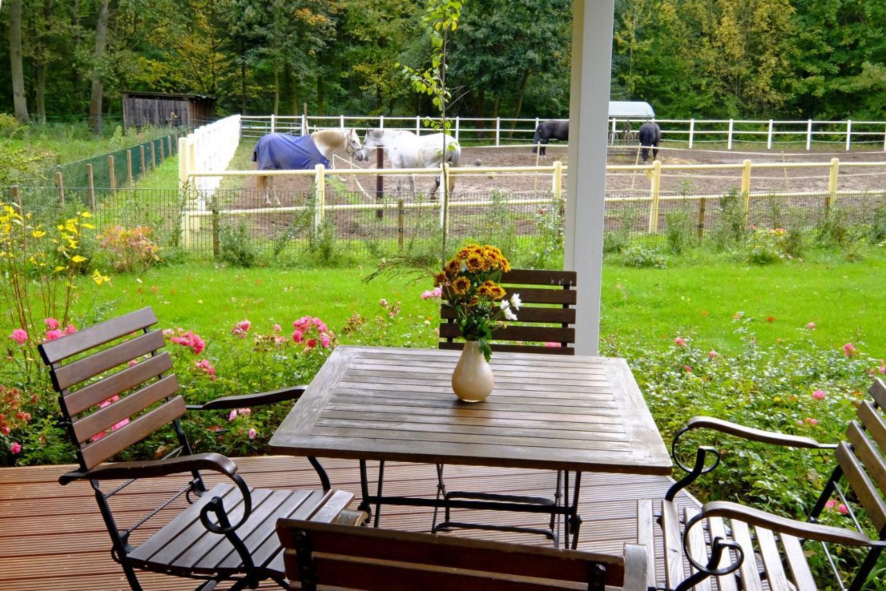 Hotel Gut Klostermuehle Natur Resort & Medical Spa Alt Madlitz Buitenkant foto
